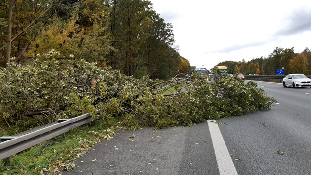 20211021_120352_resized groß.jpg